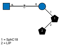 Ac(1-2)aDGlcpN(1-P-6)?DGlcp(1-1)[LIP(1-2)]xXSphC18