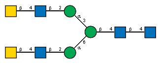 Ac(1-2)bDGalpN(1-4)[Ac(1-2)]bDGlcpN(1-2)aDManp(1-3)[Ac(1-2)bDGalpN(1-4)[Ac(1-2)]bDGlcpN(1-2)aDManp(1-6)]bDManp(1-4)[Ac(1-2)]bDGlcpN(1-4)[Ac(1-2)]?DGlcpN