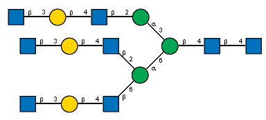 Ac(1-2)bDGlcpN(1-3)bDGalp(1-4)[Ac(1-2)]bDGlcpN(1-2)aDManp(1-3)[Ac(1-2)bDGlcpN(1-3)bDGalp(1-4)[Ac(1-2)]bDGlcpN(1-2)[Ac(1-2)bDGlcpN(1-3)bDGalp(1-4)[Ac(1-2)]bDGlcpN(1-6)]aDManp(1-6)]bDManp(1-4)[Ac(1-2)]bDGlcpN(1-4)[Ac(1-2)]?DGlcpN