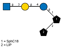Ac(1-2)bDGlcpN(1-3)bDGalp(1-4)bDGlcp(1-1)[LIP(1-2)]xXSphC18