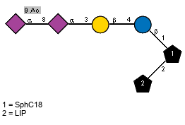 Ac(1-5)[Ac(1-9)]aXNeup(2-8)[Ac(1-5)]aXNeup(2-3)bDGalp(1-4)bDGlcp(1-1)[LIP(1-2)]xXSphC18