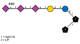 Ac(1-5)[Ac(1-9)]aXNeup(2-8)[Ac(1-5)]aXNeup(2-8)[Ac(1-5)]aXNeup(2-3)bDGalp(1-4)bDGlcp(1-1)[LIP(1-2)]xXSphC18