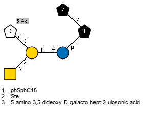 Ac(1-5)aDSugp(2-3)[Ac(1-2)bDGalpN(1-4)]bDGalp(1-4)bDGlcp(1-1)[lXSte(1-2)]xXphSphC18 // Sug = 5-amino-3,5-dideoxy-D-galacto-hept-2-ulosonic acid = SMILES N{5}[C@H]1[C@H](CO)O{2}[C@@](O)(C(O)=O)C[C@@H]1O