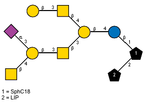 Ac(1-5)aXNeup(2-3)[Ac(1-2)bDGalpN(1-4)]bDGalp(1-3)[Ac(1-2)]bDGalpN(1-3)[bDGalp(1-3)[Ac(1-2)]bDGalpN(1-4)]bDGalp(1-4)bDGlc?(1-1)[LIP(1-2)]xXSphC18