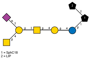 Ac(1-5)aXNeup(2-3)[Ac(1-2)bDGalpN(1-4)]bDGalp(1-3)[Ac(1-2)]bDGalpN(1-4)bDGalp(1-4)bDGlcp(1-1)[LIP(1-2)]xXSphC18