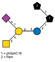 Ac(1-5)aXNeup(2-3)[Ac(1-2)bDGalpN(1-4)]bDGalp(1-4)bDGlcp(1-1)[lXPam(1-2)]xXphSphC18