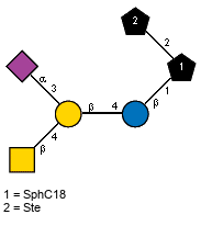 Ac(1-5)aXNeup(2-3)[Ac(1-2)bDGalpN(1-4)]bDGalp(1-4)bDGlcp(1-1)[lXSte(1-2)]xXSphC18