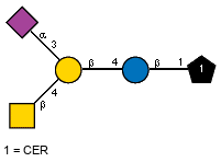 Ac(1-5)aXNeup(2-3)[Ac(1-2)bDGalpN(1-4)]bDGalp(1-4)bDGlcp(1-1)CER