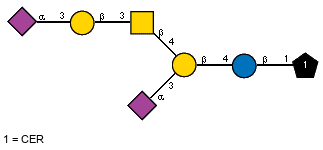Ac(1-5)aXNeup(2-3)[Ac(1-5)aXNeup(2-3)bDGalp(1-3)[Ac(1-2)]bDGalpN(1-4)]bDGalp(1-4)bDGlcp(1-1)CER