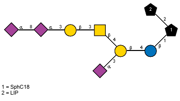 Ac(1-5)aXNeup(2-3)[Ac(1-5)aXNeup(2-8)[Ac(1-5)]aXNeup(2-3)bDGalp(1-3)[Ac(1-2)]bDGalpN(1-4)]bDGalp(1-4)bDGlcp(1-1)[LIP(1-2)]xXSphC18