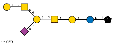 Ac(1-5)aXNeup(2-3)[bDGalp(1-3)[Ac(1-2)]bDGalpN(1-4)]bDGalp(1-3)[Ac(1-2)]bDGalpN(1-4)bDGalp(1-4)bDGlcp(1-1)CER