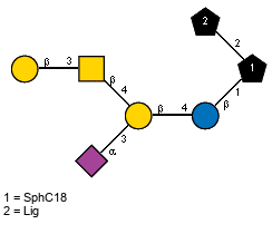 Ac(1-5)aXNeup(2-3)[bDGalp(1-3)[Ac(1-2)]bDGalpN(1-4)]bDGalp(1-4)bDGlcp(1-1)[lXLig(1-2)]xXSphC18