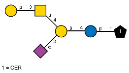 Ac(1-5)aXNeup(2-3)[bDGalp(1-3)[Ac(1-2)]bDGalpN(1-4)]bDGalp(1-4)bDGlcp(1-1)CER