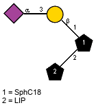 Ac(1-5)aXNeup(2-3)bDGalp(1-1)[LIP(1-2)]xXSphC18