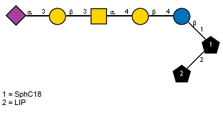 Ac(1-5)aXNeup(2-3)bDGalp(1-3)[Ac(1-2)]aDGalpN(1-4)bDGalp(1-4)bDGlcp(1-1)[LIP(1-2)]xXSphC18
