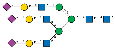 Ac(1-5)aXNeup(2-3)bDGalp(1-3)[Ac(1-2)]bDGlcpN(1-2)aDManp(1-3)[Ac(1-5)aXNeup(2-3)bDGalp(1-3)[Ac(1-2)]bDGlcpN(1-2)[Ac(1-5)aXNeup(2-3)bDGalp(1-3)[Ac(1-2)]bDGlcpN(1-6)]aDManp(1-6)]bDManp(1-4)[Ac(1-2)]bDGlcpN(1-4)[Ac(1-2)]bDGlcpN