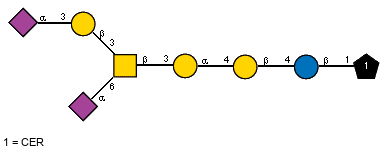 Ac(1-5)aXNeup(2-3)bDGalp(1-3)[Ac(1-5)aXNeup(2-6),Ac(1-2)]bDGalpN(1-3)aDGalp(1-4)bDGalp(1-4)bDGlcp(1-1)CER