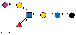 Ac(1-5)aXNeup(2-3)bDGalp(1-3)[aDFucp(1-4),Ac(1-2)]bDGlcpN(1-3)bDGalp(1-4)bDGlcp(1-1)CER