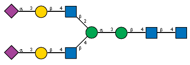 Ac(1-5)aXNeup(2-3)bDGalp(1-4)[Ac(1-2)]bDGlcpN(1-2)[Ac(1-5)aXNeup(2-3)bDGalp(1-4)[Ac(1-2)]bDGlcpN(1-4)]aDManp(1-3)bDManp(1-4)[Ac(1-2)]bDGlcpN(1-4)[Ac(1-2)]?DGlcpN