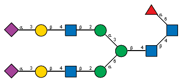 Ac(1-5)aXNeup(2-3)bDGalp(1-4)[Ac(1-2)]bDGlcpN(1-2)aDManp(1-3)[Ac(1-5)aXNeup(2-3)bDGalp(1-4)[Ac(1-2)]bDGlcpN(1-2)aDManp(1-6)]bDManp(1-4)[Ac(1-2)]bDGlcpN(1-4)[aLFucp(1-6),Ac(1-2)]?DGlcpN