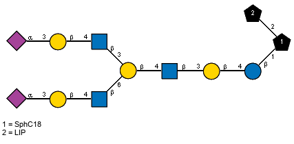 Ac(1-5)aXNeup(2-3)bDGalp(1-4)[Ac(1-2)]bDGlcpN(1-3)[Ac(1-5)aXNeup(2-3)bDGalp(1-4)[Ac(1-2)]bDGlcpN(1-6)]bDGalp(1-4)[Ac(1-2)]bDGlcpN(1-3)bDGalp(1-4)bDGlcp(1-1)[LIP(1-2)]xXSphC18