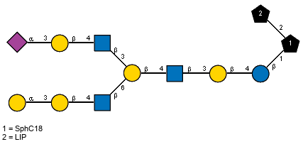 Ac(1-5)aXNeup(2-3)bDGalp(1-4)[Ac(1-2)]bDGlcpN(1-3)[aDGalp(1-3)bDGalp(1-4)[Ac(1-2)]bDGlcpN(1-6)]bDGalp(1-4)[Ac(1-2)]bDGlcpN(1-3)bDGalp(1-4)bDGlcp(1-1)[LIP(1-2)]xXSphC18