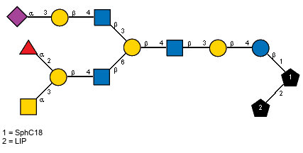Ac(1-5)aXNeup(2-3)bDGalp(1-4)[Ac(1-2)]bDGlcpN(1-3)[aLFucp(1-2)[Ac(1-2)aDGalpN(1-3)]bDGalp(1-4)[Ac(1-2)]bDGlcpN(1-6)]bDGalp(1-4)[Ac(1-2)]bDGlcpN(1-3)bDGalp(1-4)bDGlcp(1-1)[LIP(1-2)]xXSphC18