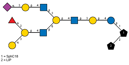 Ac(1-5)aXNeup(2-3)bDGalp(1-4)[Ac(1-2)]bDGlcpN(1-3)[aLFucp(1-2)[aDGalp(1-3)]bDGalp(1-4)[Ac(1-2)]bDGlcpN(1-6)]bDGalp(1-4)[Ac(1-2)]bDGlcpN(1-3)bDGalp(1-4)bDGlcp(1-1)[LIP(1-2)]xXSphC18