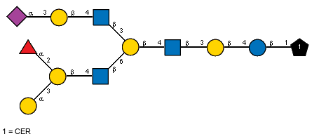 Ac(1-5)aXNeup(2-3)bDGalp(1-4)[Ac(1-2)]bDGlcpN(1-3)[aLFucp(1-2)[aDGalp(1-3)]bDGalp(1-4)[Ac(1-2)]bDGlcpN(1-6)]bDGalp(1-4)[Ac(1-2)]bDGlcpN(1-3)bDGalp(1-4)bDGlcp(1-1)CER
