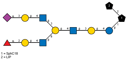 Ac(1-5)aXNeup(2-3)bDGalp(1-4)[Ac(1-2)]bDGlcpN(1-3)[aLFucp(1-2)bDGalp(1-4)[Ac(1-2)]bDGlcpN(1-6)]bDGalp(1-4)[Ac(1-2)]bDGlcpN(1-3)bDGalp(1-4)bDGlcp(1-1)[LIP(1-2)]xXSphC18