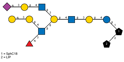 Ac(1-5)aXNeup(2-3)bDGalp(1-4)[Ac(1-2)]bDGlcpN(1-3)[aLFucp(1-3)[aDGalp(1-3)bDGalp(1-4),Ac(1-2)]bDGlcpN(1-6)]bDGalp(1-4)[Ac(1-2)]bDGlcpN(1-3)bDGalp(1-4)bDGlcp(1-1)[LIP(1-2)]xXSphC18