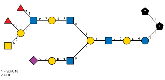 Ac(1-5)aXNeup(2-3)bDGalp(1-4)[Ac(1-2)]bDGlcpN(1-3)[aLFucp(1-3)[aLFucp(1-2)[Ac(1-2)aDGalpN(1-3)]bDGalp(1-4),Ac(1-2)]bDGlcpN(1-3)bDGalp(1-4)[Ac(1-2)]bDGlcpN(1-6)]bDGalp(1-4)[Ac(1-2)]bDGlcpN(1-3)bDGalp(1-4)bDGlcp(1-1)[LIP(1-2)]xXSphC18