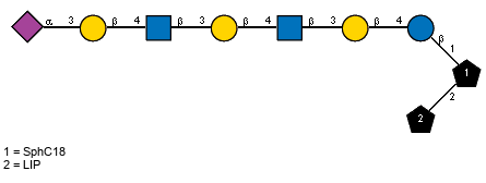 Ac(1-5)aXNeup(2-3)bDGalp(1-4)[Ac(1-2)]bDGlcpN(1-3)bDGalp(1-4)[Ac(1-2)]bDGlcpN(1-3)bDGalp(1-4)bDGlcp(1-1)[LIP(1-2)]xXSphC18