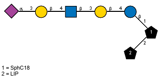 Ac(1-5)aXNeup(2-3)bDGalp(1-4)[Ac(1-2)]bDGlcpN(1-3)bDGalp(1-4)bDGlcp(1-1)[LIP(1-2)]xXSphC18