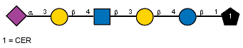 Ac(1-5)aXNeup(2-3)bDGalp(1-4)[Ac(1-2)]bDGlcpN(1-3)bDGalp(1-4)bDGlcp(1-1)CER