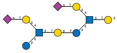Ac(1-5)aXNeup(2-3)bDGalp(1-4)[Ac(1-5)aXNeup(2-3)bDGalp(1-4)[bDGlcp(1-6),Ac(1-2)]bDGlcpN(1-3)bDGalp(1-4)bDGlcp(1-6),Ac(1-2)]bDGlcpN(1-3)bDGalp