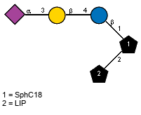 Ac(1-5)aXNeup(2-3)bDGalp(1-4)bDGlcp(1-1)[LIP(1-2)]xXSphC18