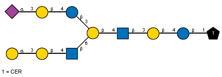 Ac(1-5)aXNeup(2-3)bDGalp(1-4)bDGlcp(1-3)[aDGalp(1-3)bDGalp(1-4)[Ac(1-2)]bDGlcpN(1-6)]bDGalp(1-4)[Ac(1-2)]bDGlcpN(1-3)bDGalp(1-4)bDGlcp(1-1)CER