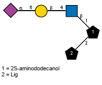 Ac(1-5)aXNeup(2-6)bDGalp(1-4)[Ac(1-2)]bDGlcpN(1-1)[lXLig(1-2)]Subst // Subst = 2S-aminododecanol = SMILES O{1}C{2}[C@@H](N)CCCCCCCCCC