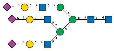 Ac(1-5)aXNeup(2-6)bDGalp(1-4)[Ac(1-2)]bDGlcpN(1-2)[Ac(1-5)aXNeup(2-3)bDGalp(1-4)[Ac(1-2)]bDGlcpN(1-4)]aDManp(1-3)[Ac(1-5)aXNeup(2-3)bDGalp(1-4)[Ac(1-2)]bDGlcpN(1-2)aDManp(1-6)]bDManp(1-4)[Ac(1-2)]bDGlcpN(1-4)[Ac(1-2)]?DGlcpN