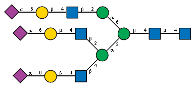 Ac(1-5)aXNeup(2-6)bDGalp(1-4)[Ac(1-2)]bDGlcpN(1-2)[Ac(1-5)aXNeup(2-6)bDGalp(1-4)[Ac(1-2)]bDGlcpN(1-4)]aDManp(1-3)[Ac(1-5)aXNeup(2-6)bDGalp(1-4)[Ac(1-2)]bDGlcpN(1-2)aDManp(1-6)]bDManp(1-4)[Ac(1-2)]bDGlcpN(1-4)[Ac(1-2)]?DGlcpN