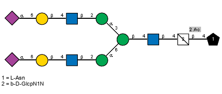 Ac(1-5)aXNeup(2-6)bDGalp(1-4)[Ac(1-2)]bDGlcpN(1-2)aDManp(1-3)[Ac(1-5)aXNeup(2-6)bDGalp(1-4)[Ac(1-2)]bDGlcpN(1-2)aDManp(1-6)]bDManp(1-4)[Ac(1-2)]bDGlcpN(1-4)[Ac(1-2)]bDGlcpN1N(1-4)xLAsn