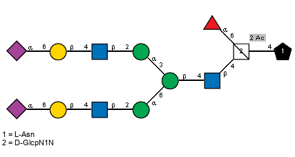 Ac(1-5)aXNeup(2-6)bDGalp(1-4)[Ac(1-2)]bDGlcpN(1-2)aDManp(1-3)[Ac(1-5)aXNeup(2-6)bDGalp(1-4)[Ac(1-2)]bDGlcpN(1-2)aDManp(1-6)]bDManp(1-4)[Ac(1-2)]bDGlcpN(1-4)[aLFuc(1-6),Ac(1-2)]?DGlcpN1N(1-4)xLAsn