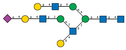 Ac(1-5)aXNeup(2-6)bDGalp(1-4)[Ac(1-2)]bDGlcpN(1-2)aDManp(1-3)[bDGalp(1-4),Ac(1-2)]bDGlcpN(1-2)[bDGalp(1-4)[Ac(1-2)]bDGlcpN(1-6)aDManp(1-6)]bDManp(1-4)[Ac(1-2)]bDGlcpN(1-4)[Ac(1-2)]?DGlcpN