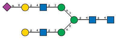 Ac(1-5)aXNeup(2-6)bDGalp(1-4)[Ac(1-2)]bDGlcpN(1-2)aDManp(1-3)[bDGalp(1-4)[Ac(1-2)]bDGlcpN(1-2)aDManp(1-6)]bDManp(1-4)[Ac(1-2)]bDGlcpN(1-4)[Ac(1-2)]?DGlcpN