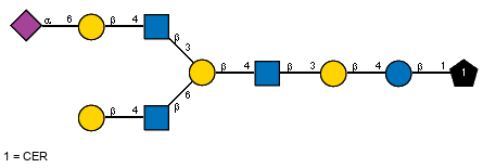 Ac(1-5)aXNeup(2-6)bDGalp(1-4)[Ac(1-2)]bDGlcpN(1-3)[bDGalp(1-4)[Ac(1-2)]bDGlcpN(1-6)]bDGalp(1-4)[Ac(1-2)]bDGlcpN(1-3)bDGalp(1-4)bDGlcp(1-1)CER