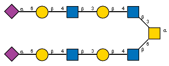 Ac(1-5)aXNeup(2-6)bDGalp(1-4)[Ac(1-2)]bDGlcpN(1-3)bDGalp(1-4)[Ac(1-2)]bDGlcpN(1-3)[Ac(1-5)aXNeup(2-6)bDGalp(1-4)[Ac(1-2)]bDGlcpN(1-3)bDGalp(1-4)[Ac(1-2)]bDGlcpN(1-6),Ac(1-2)]aDGalpN