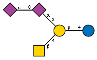 Ac(1-5)aXNeup(2-8)[Ac(1-5)]aXNeup(2-3)[Ac(1-2)bDGalpN(1-4)]bDGalp(1-4)?DGlcp