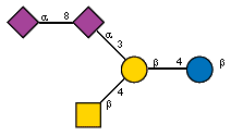 Ac(1-5)aXNeup(2-8)[Ac(1-5)]aXNeup(2-3)[Ac(1-2)bDGalpN(1-4)]bDGalp(1-4)bDGlcp
