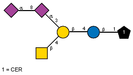 Ac(1-5)aXNeup(2-8)[Ac(1-5)]aXNeup(2-3)[Ac(1-2)bDGalpN(1-4)]bDGalp(1-4)bDGlcp(1-1)CER